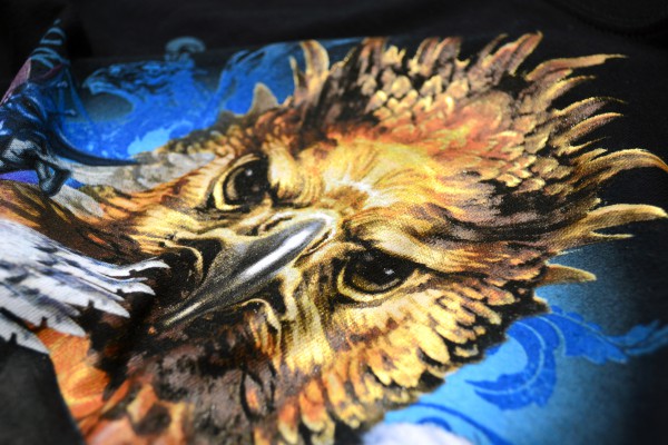 eagle